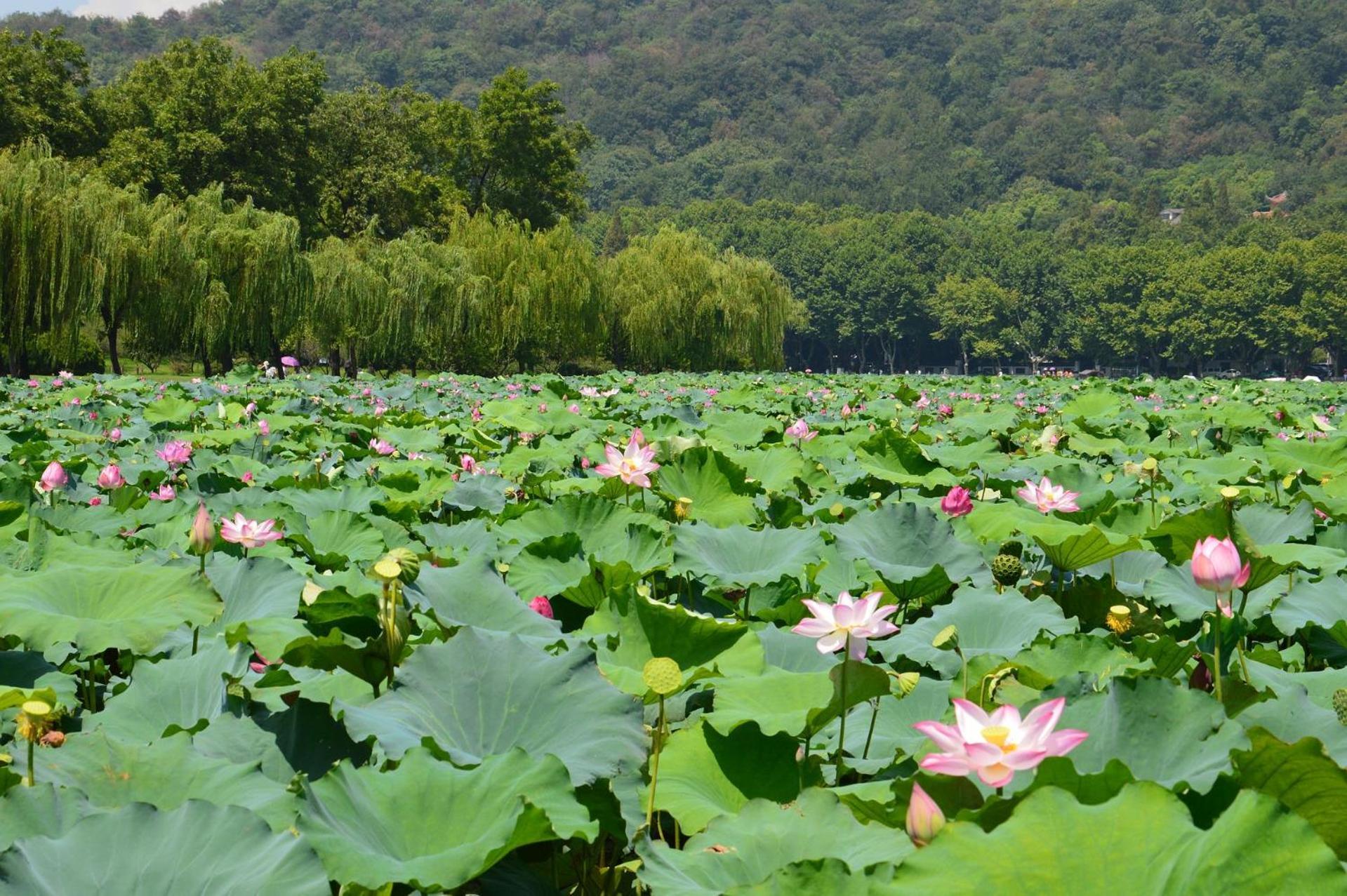 Nost Algia S Hotel In The West Lake Scenic Area-,Lingyin Temple, Leifeng Tower, Children'S Playground, Free Night Snack, Free Laundry, English Communication Well, Free Travel Advice Hangcsou Kültér fotó